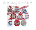 Christmas Baking Ornament Bundle - Painted (Set of 9)